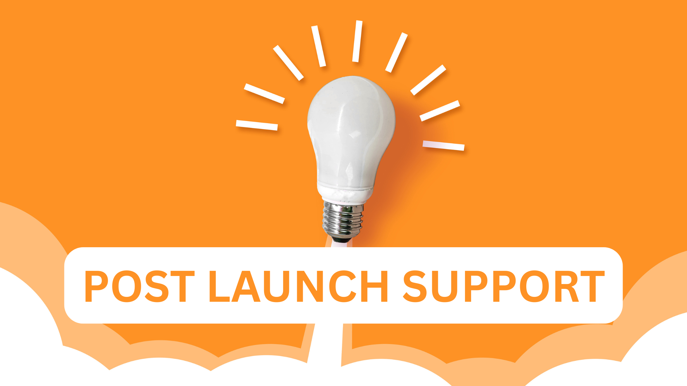 Post Launch Support