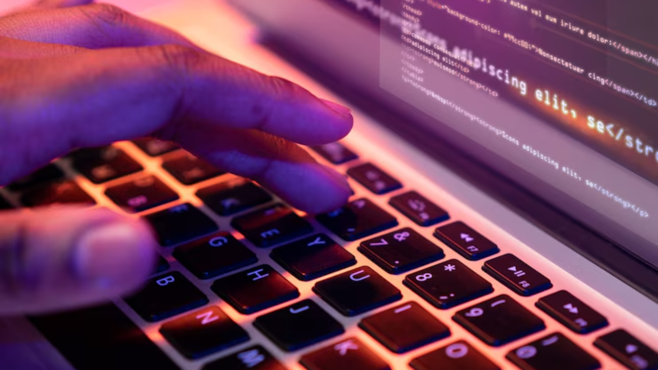 Custom Web Development Services